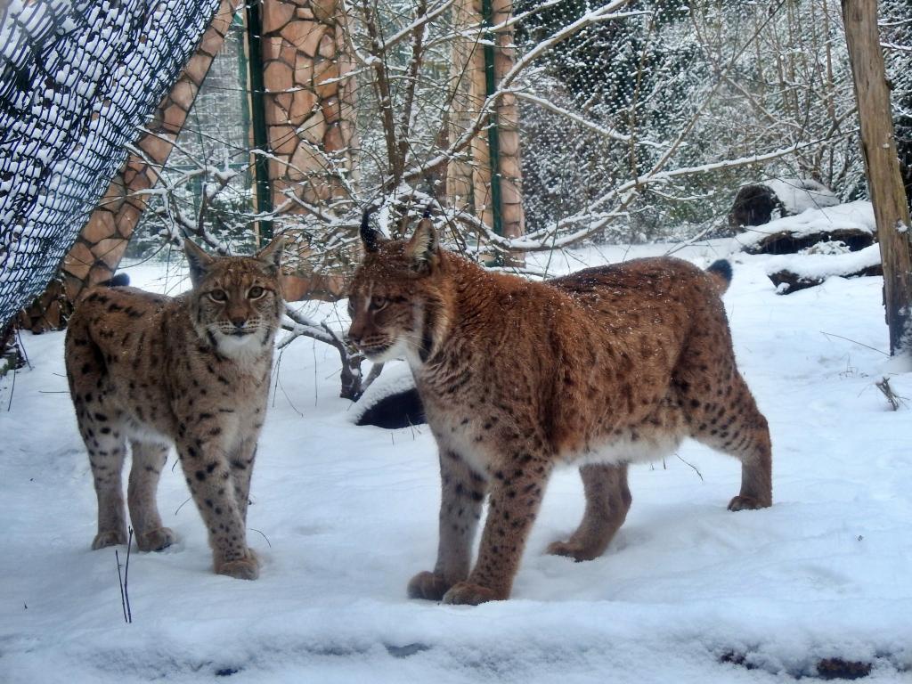 Ogród Zoobotaniczny w Toruniu - zdjęcie 3