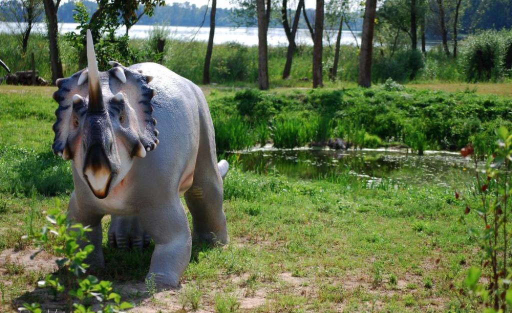 Zaurolandia Rodzinny Park Rozrywki - zdjęcie 4