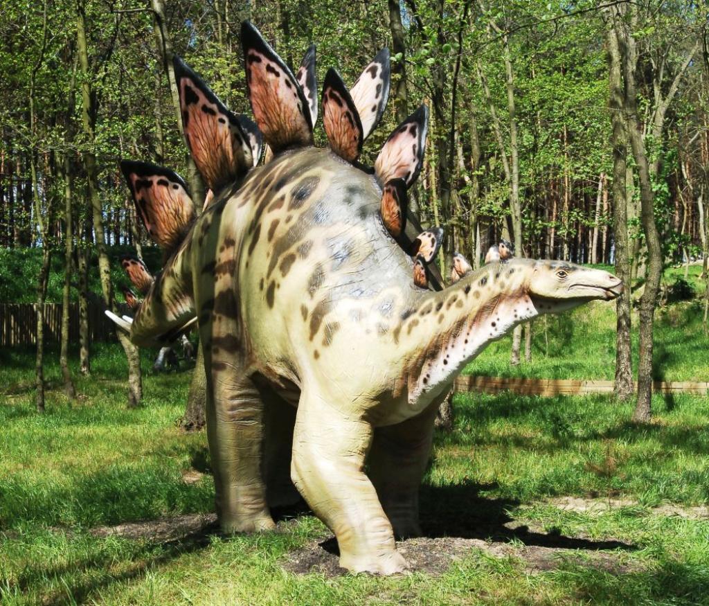 Zaurolandia Rodzinny Park Rozrywki - zdjęcie 1