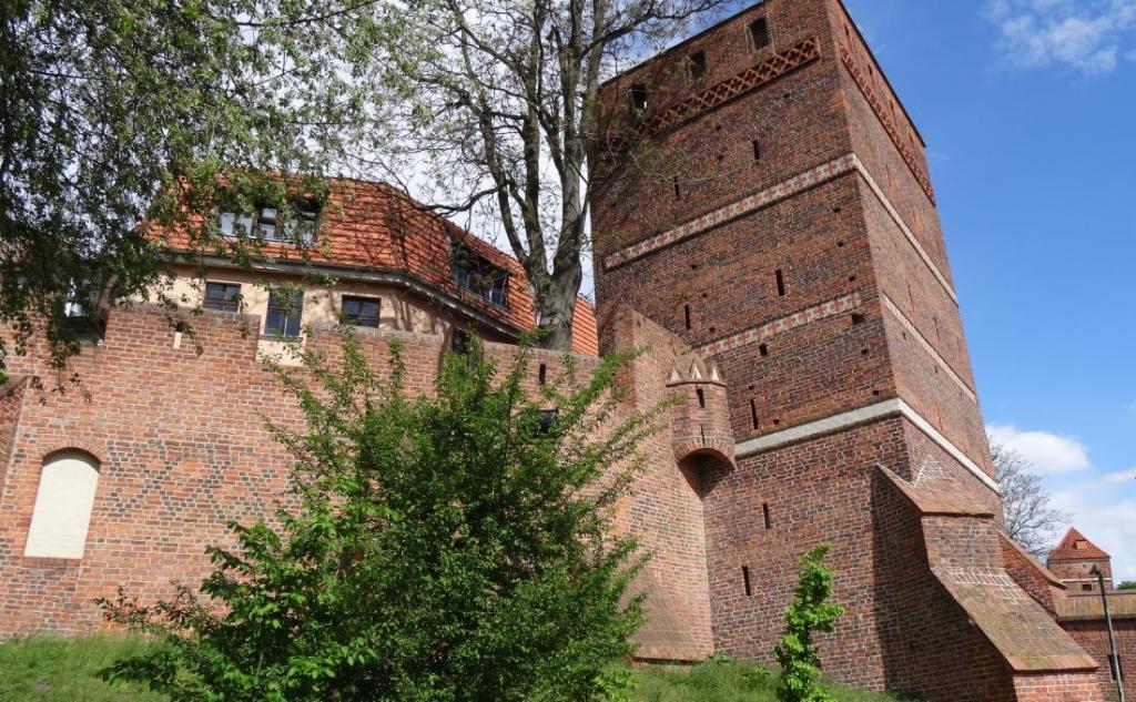 Zamek Krzyżacki w Toruniu - zdjęcie 4