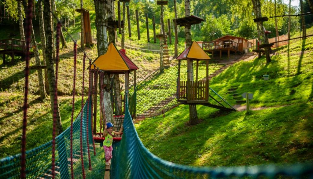 Park Linowy Górzno - zdjęcie 2