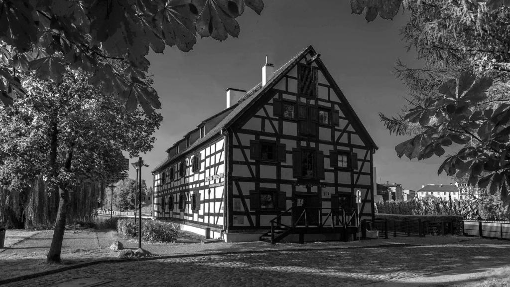 Zbiory Archeologiczne w Bydgoszczy - zdjęcie 1