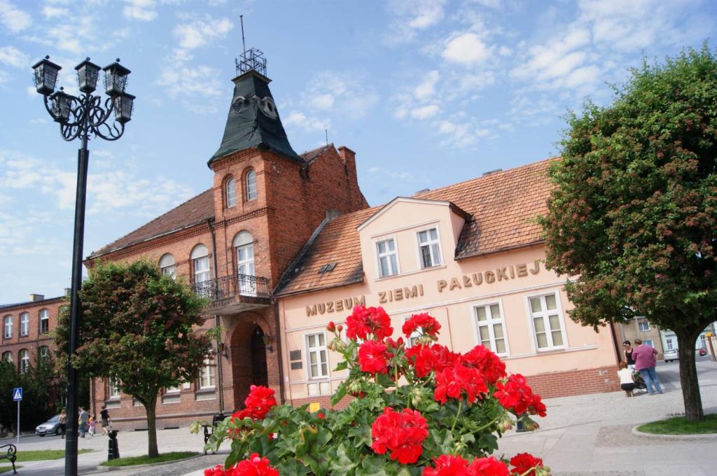 Muzeum Ziemi Pałuckiej - zdjęcie 1