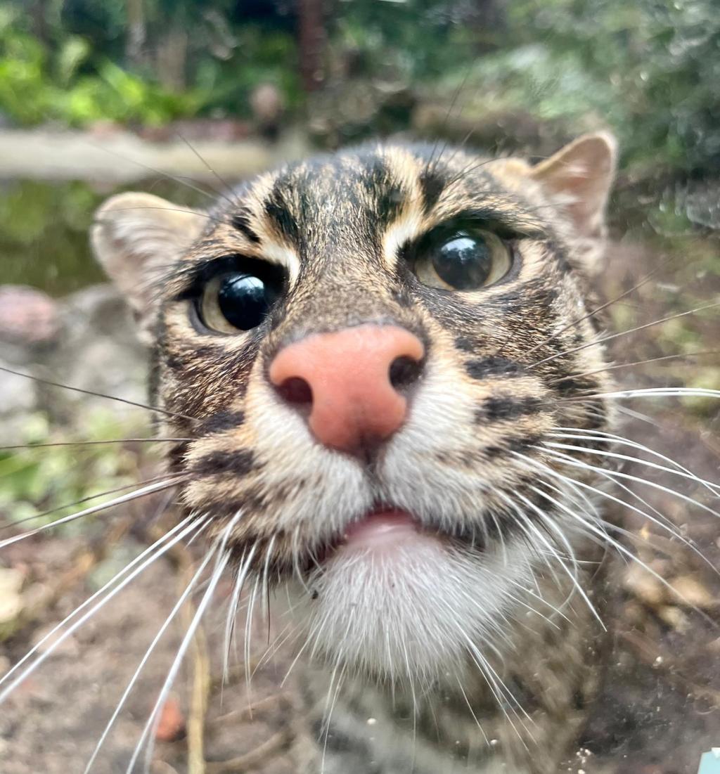 Ogród Zoobotaniczny w Toruniu - zdjęcie 1
