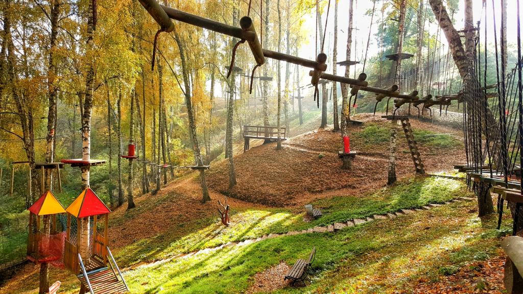 Park Linowy Górzno - zdjęcie 4